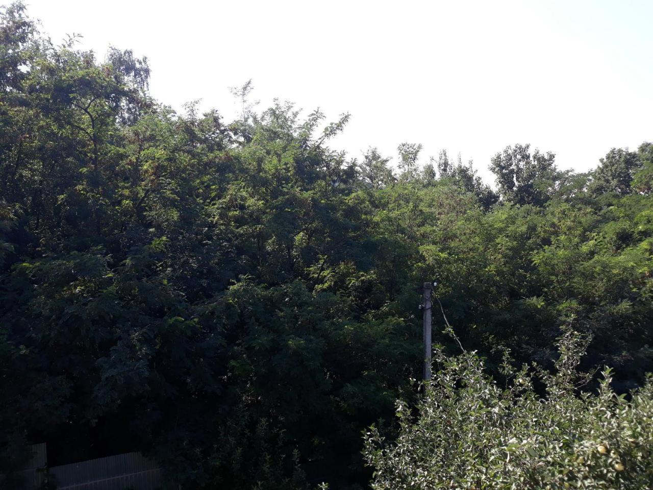 Котедж "Лісовий Затишок" Glubokoye Exterior photo
