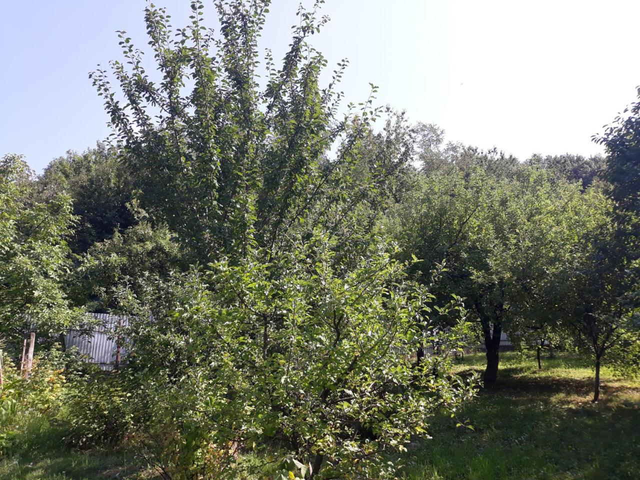 Котедж "Лісовий Затишок" Glubokoye Exterior photo