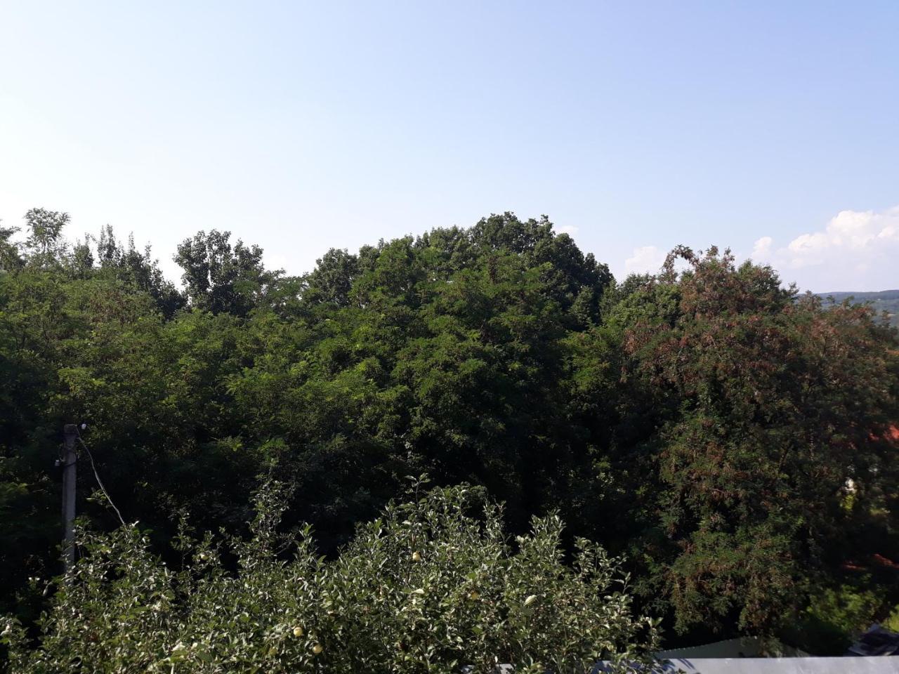 Котедж "Лісовий Затишок" Glubokoye Exterior photo